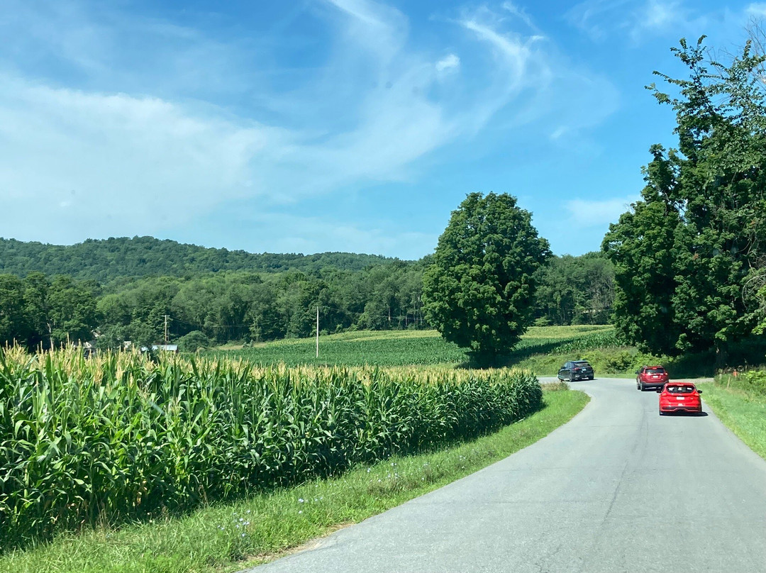 Bunker Hill Inn主图