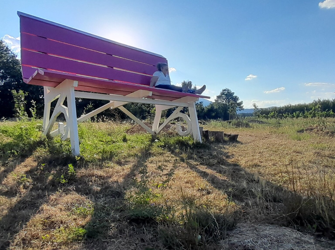 Casale Nibbi Azienda Agricola景点图片