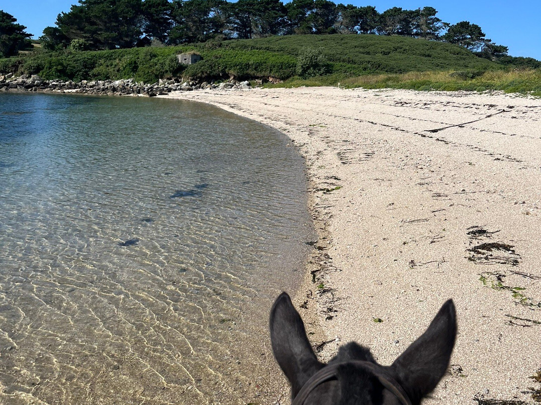 St Mary's Riding Centre-St Mary's必去景点