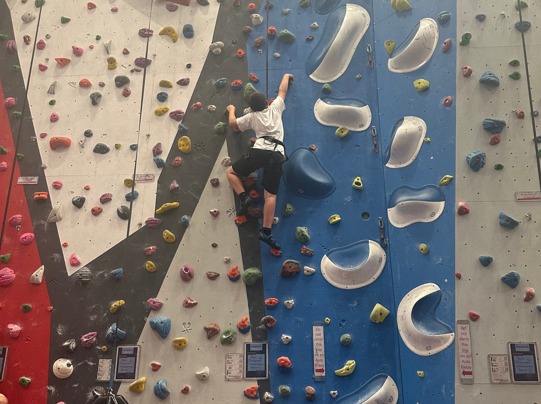 The Pinnacle Climbing Centre景点图片