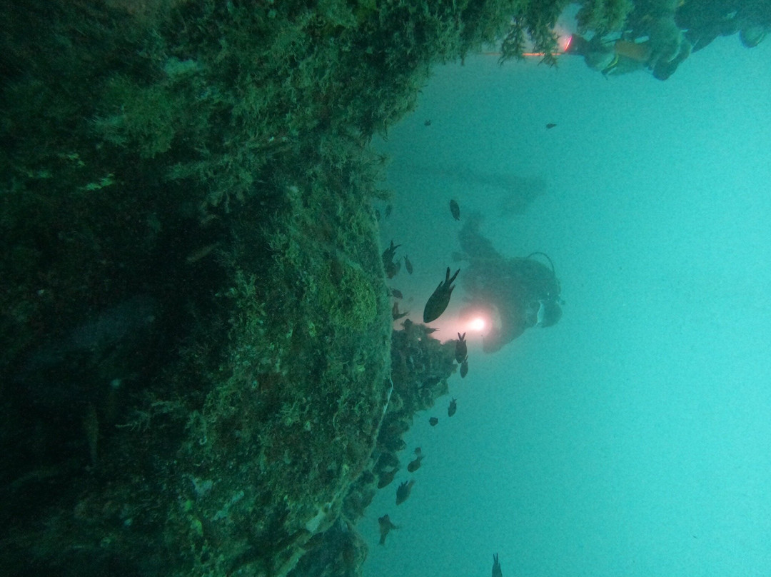 Buceo Mojacar景点图片