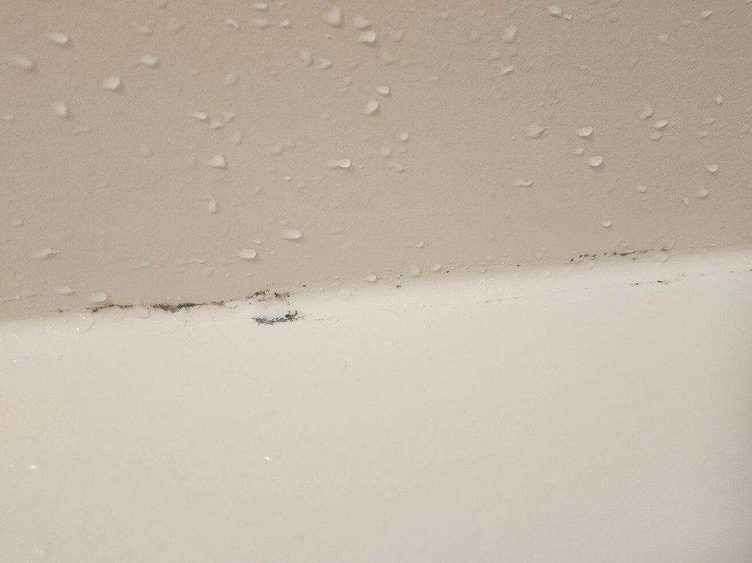 Hampton Inn Elizabethtown主图