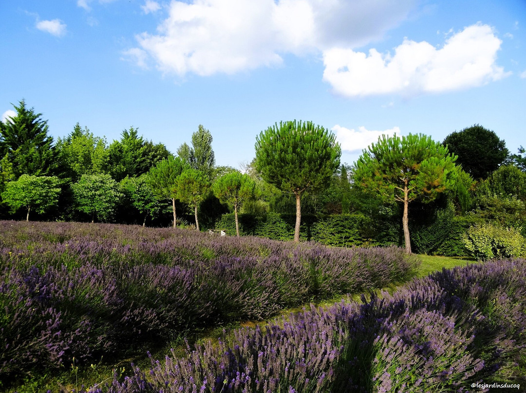 Les jardins du Coq景点图片