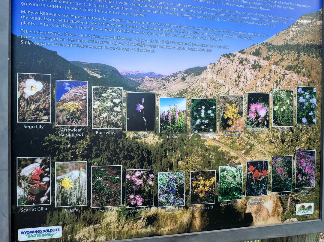 Sinks Canyon State Park景点图片