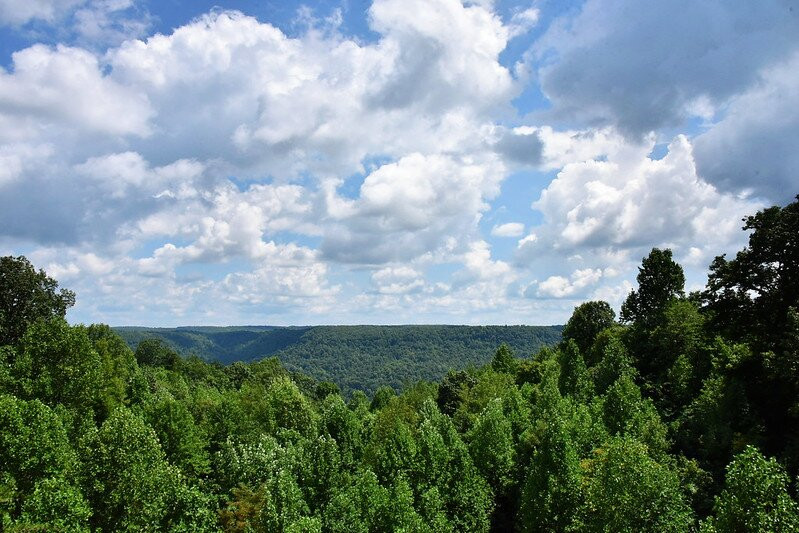 The Garden Inn主图