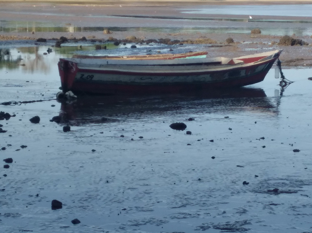 Ariramba Beach-Mosqueiro必去景点