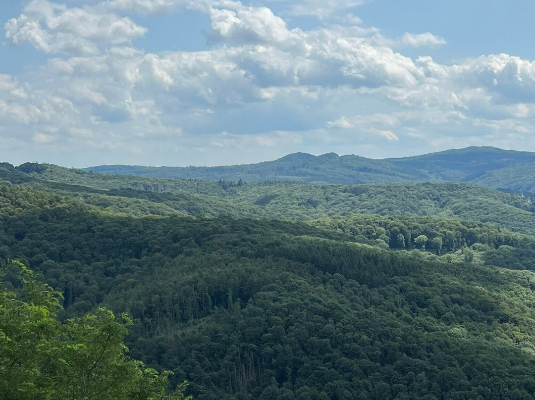 Aussichtsplattform Drachenfels景点图片