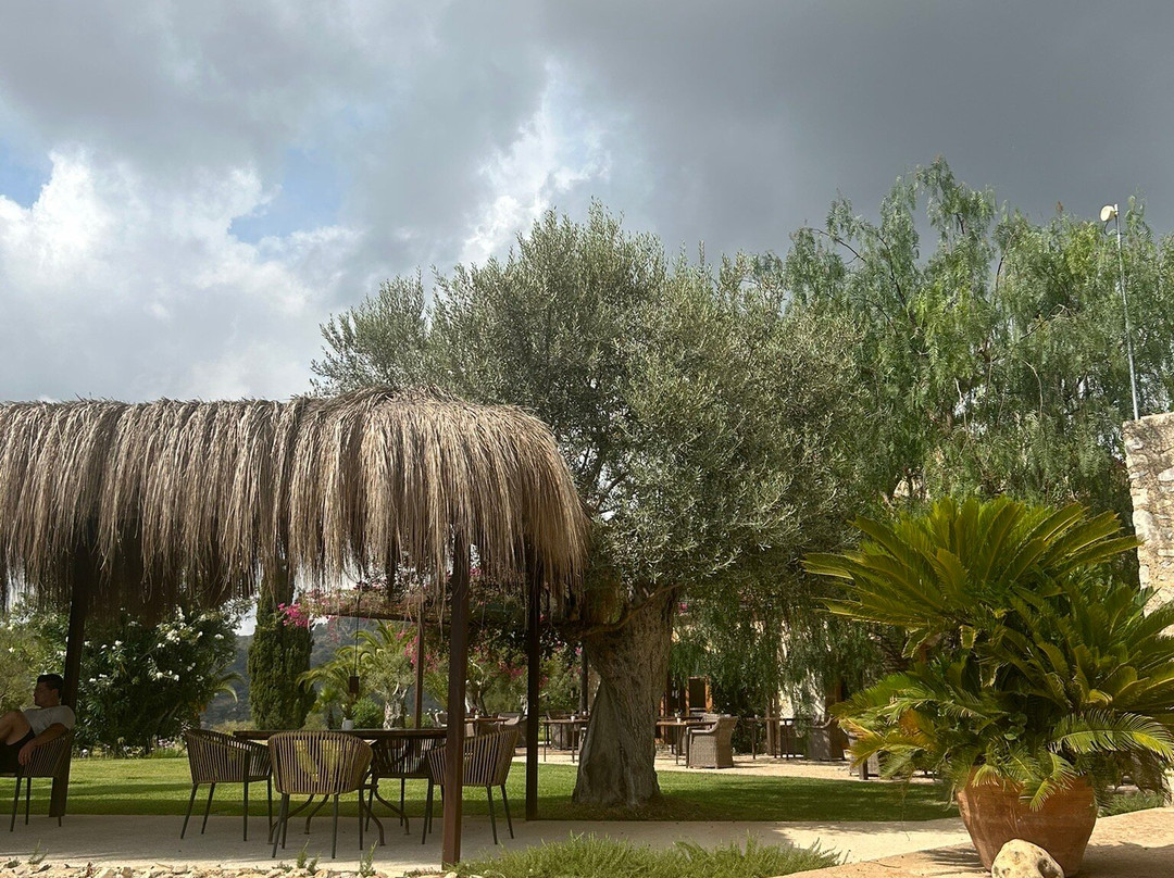 Finca Son Gener主图