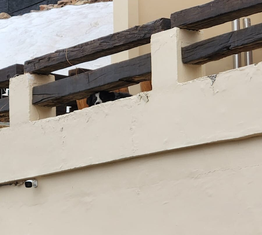 Chalet Valluga主图