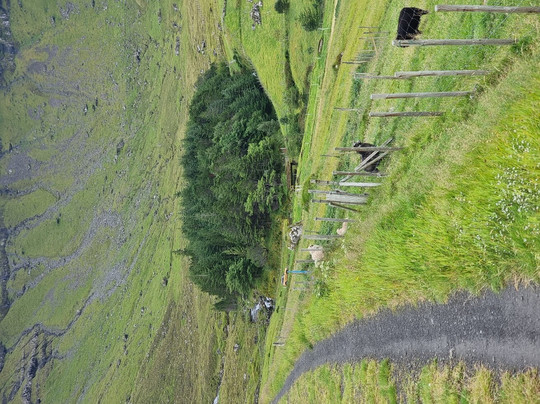 Kunoy Park-Kunoy必去景点