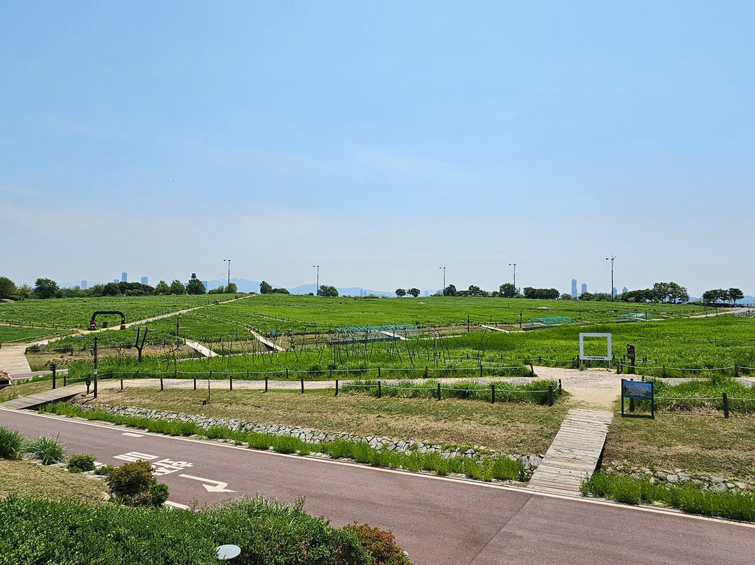 Haneul Park景点图片