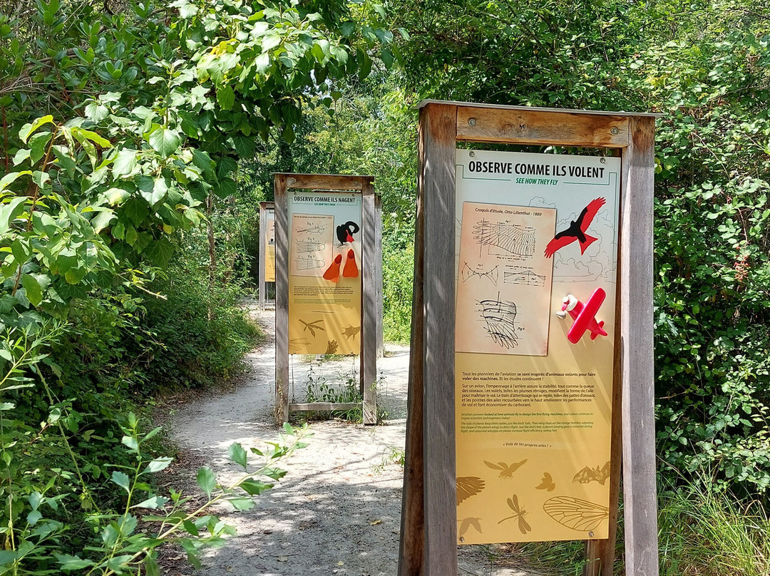 Réserve Ornithologique Du Teich景点图片