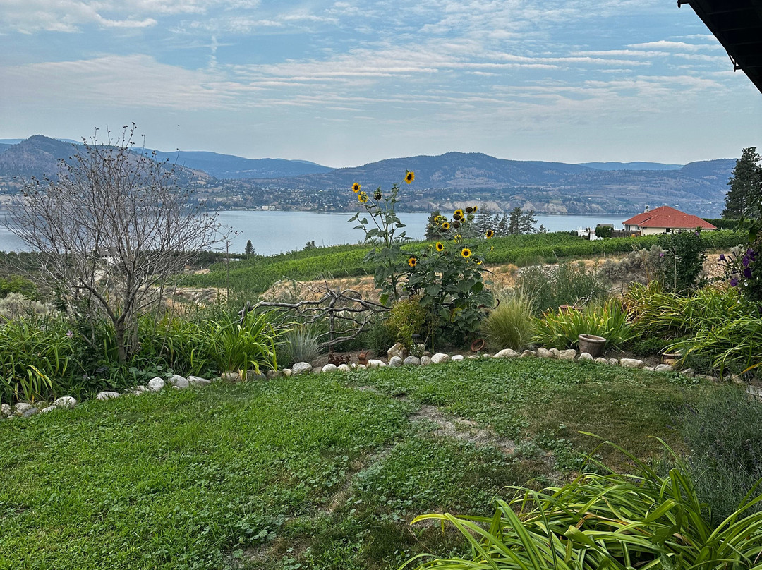 Sutherland Blueberry Bed & Breakfast主图