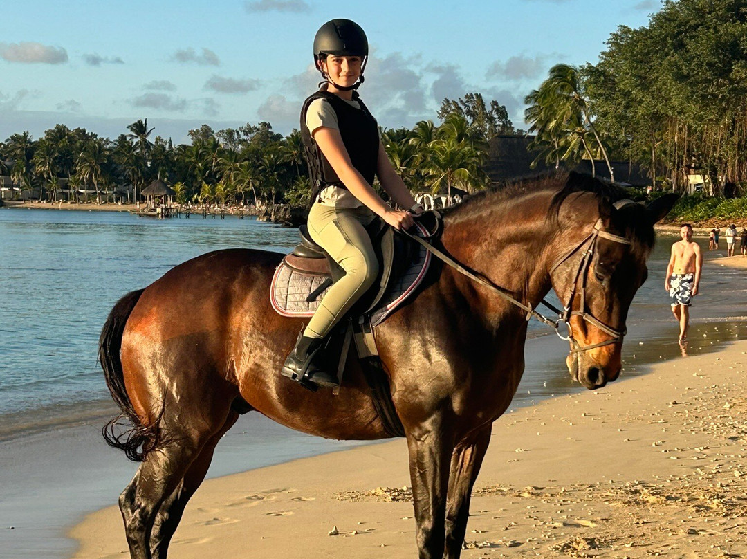 Maritim Equestrian Centre-巴拉克拉瓦必去景点