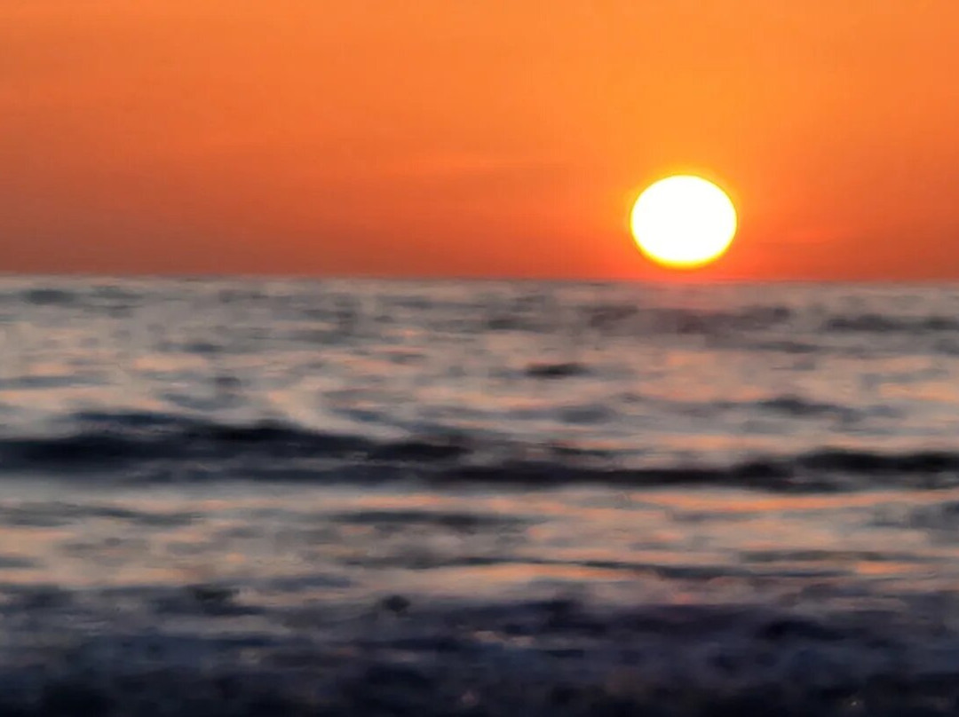 Playa Manzanillo景点图片
