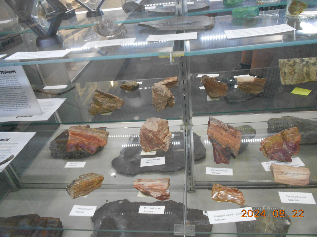 Earth Experience - Middle Tennessee Museum of Natural History-默弗里斯伯勒必去景点