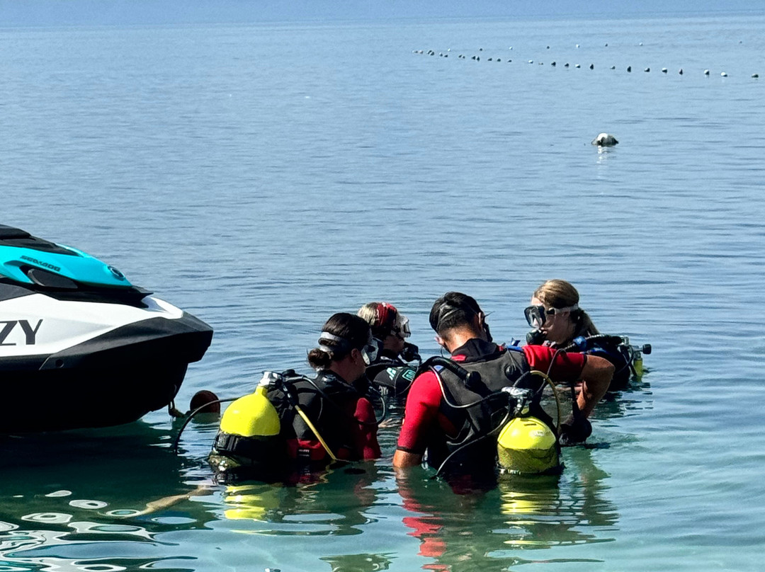 Kiwi Watersports & Dive Center景点图片