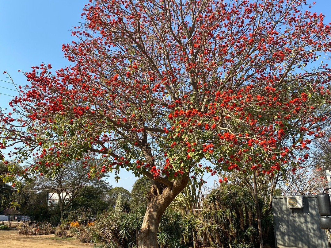 The Aloe Farm-哈特比斯普特必去景点