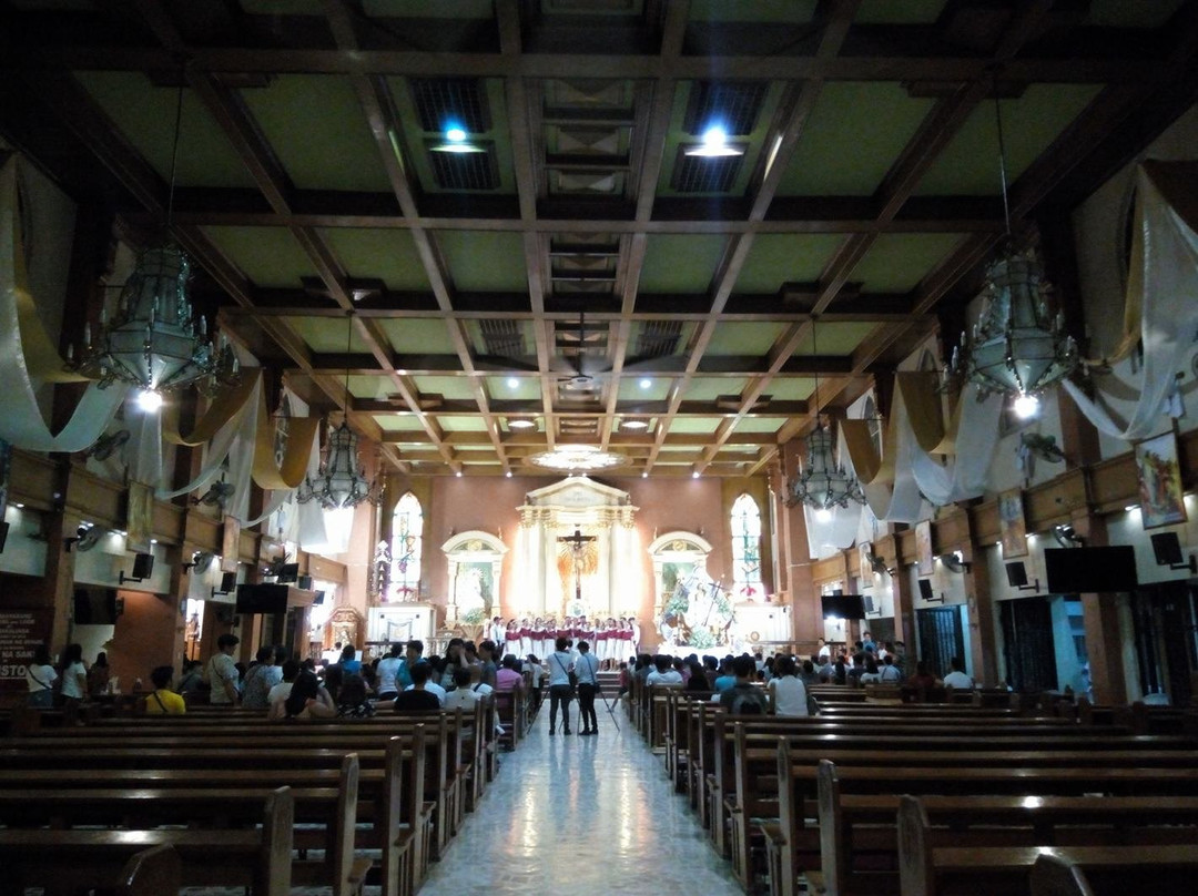 St. Nicholas of Tolentine Cathedral景点图片
