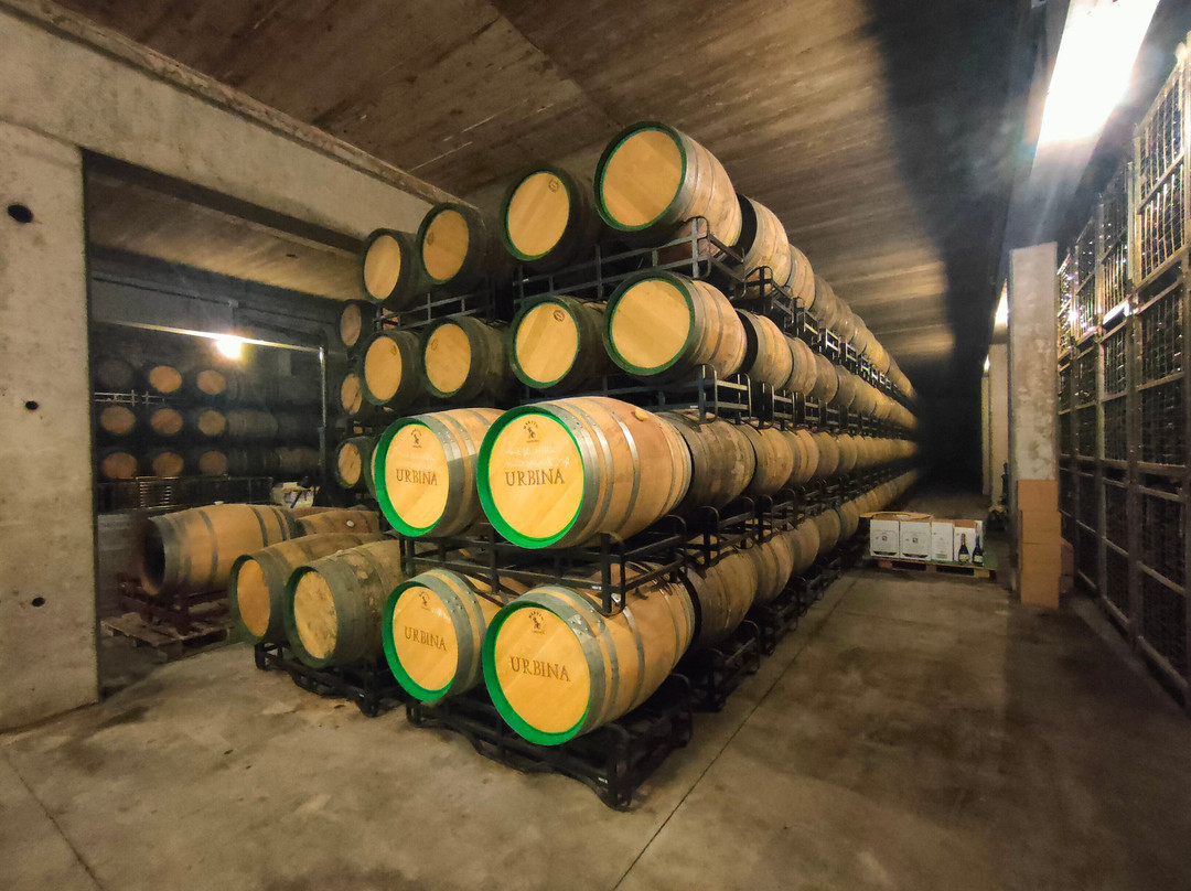 Bodegas Urbina景点图片