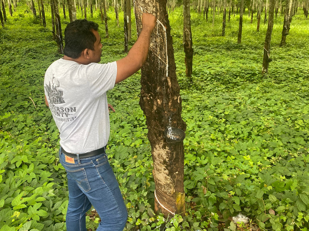 Cambodia Private Driver-金边必去景点