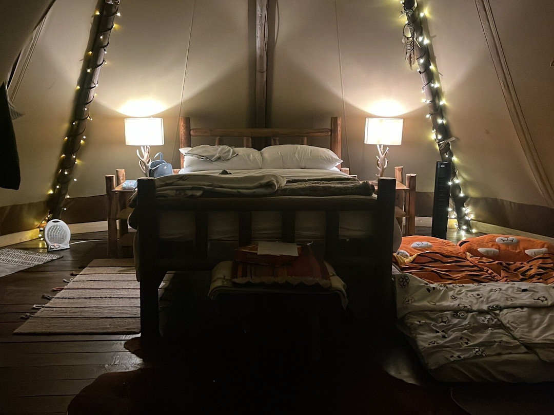 Paulton Campsite And Glamping