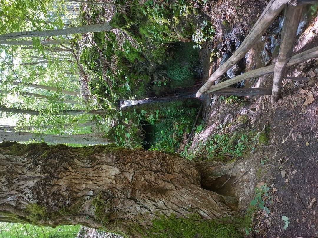 Parco Vivo Toscana