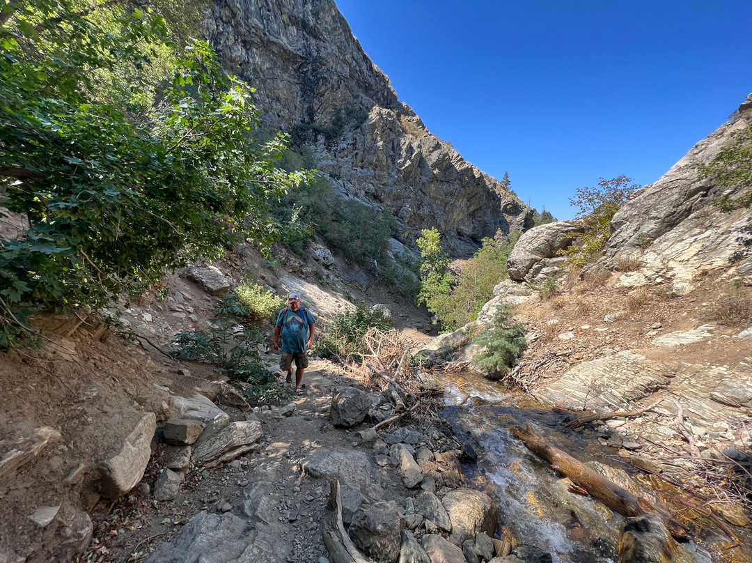 Waterfall Canyon Trail-奥格登必去景点