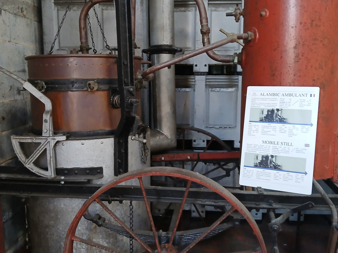 Distillerie la Salamandre景点图片