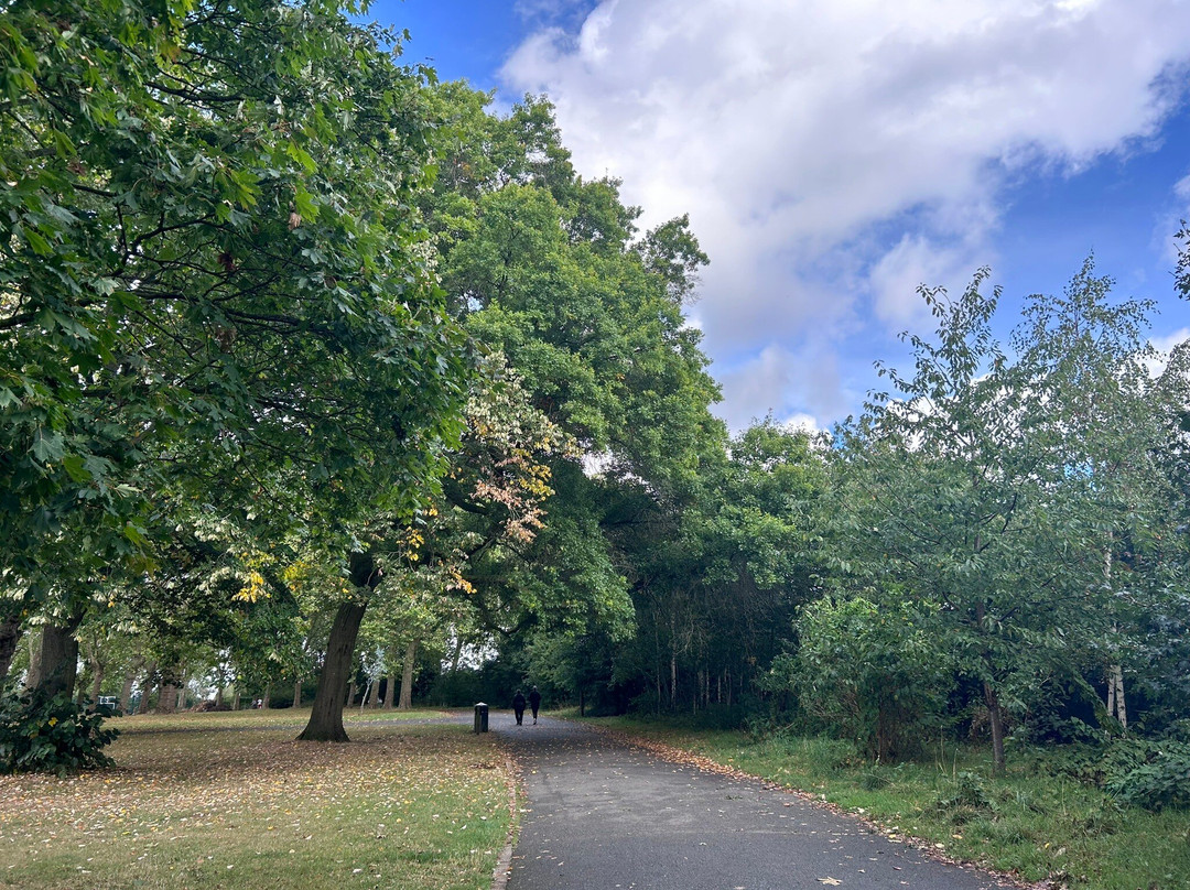 Roundwood Park景点图片