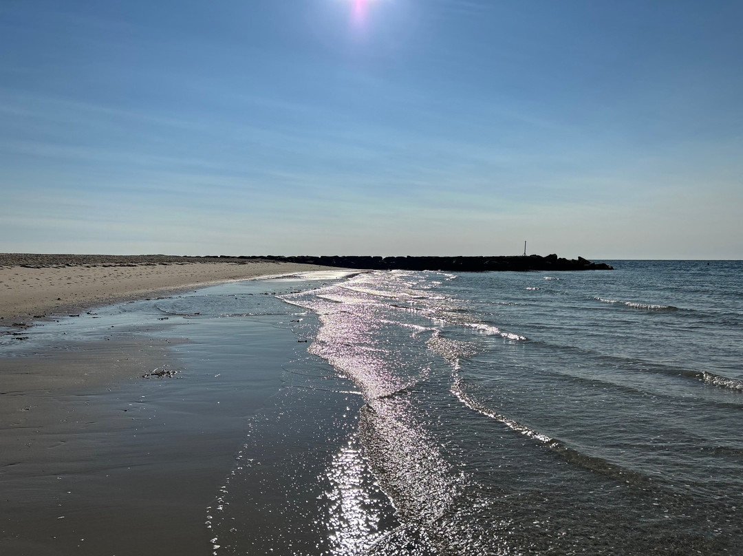 Edgewater Beach Resort主图