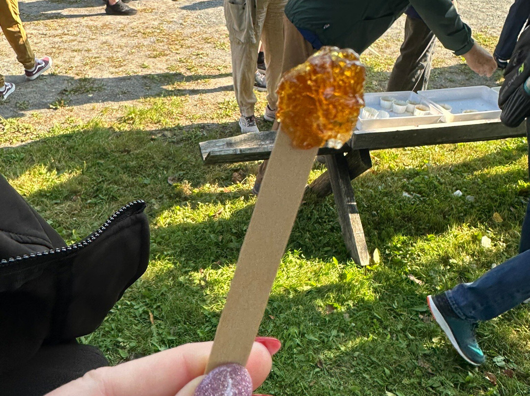 Elmhurst Outdoors-Erbs Cove必去景点