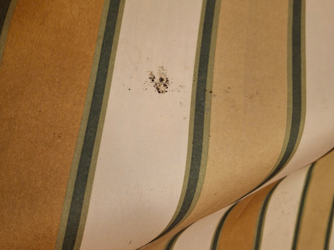 Quality Inn Old Saybrook - Westbrook主图