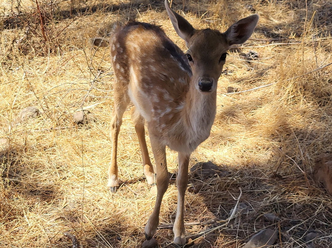 Parque Mata Da Conceicao-null必去景点