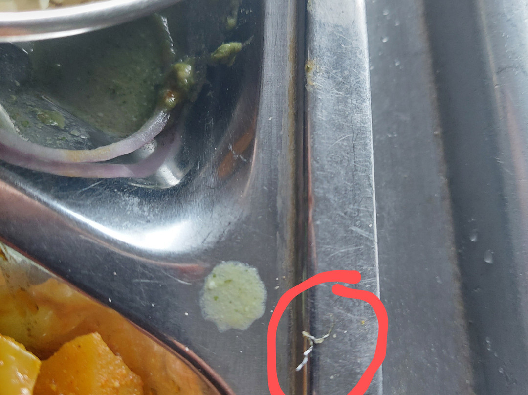 New Dolma Guest House主图