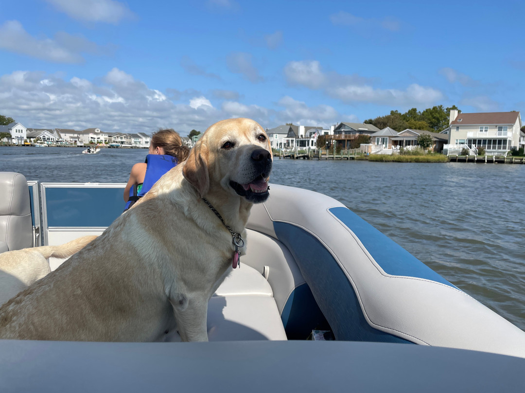 Island Watersports-Fenwick Island必去景点
