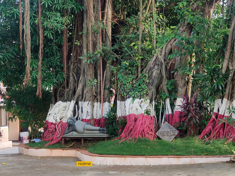 天堂度假别墅主图