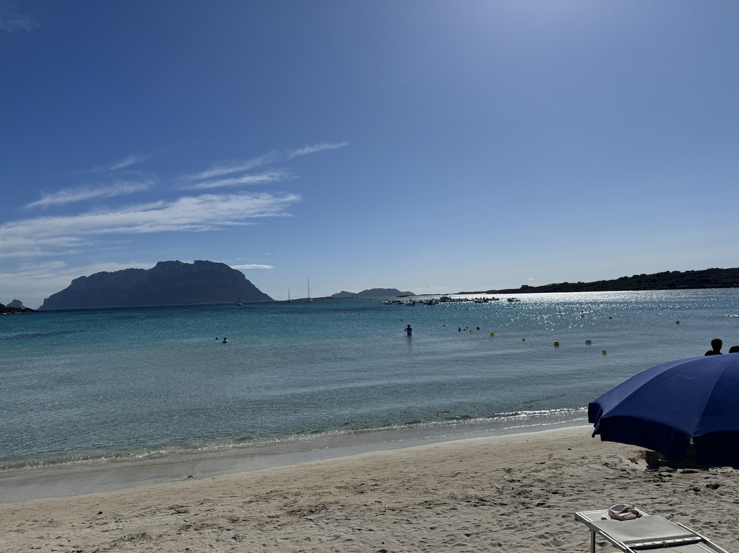 Park Hotel Porto Istana主图