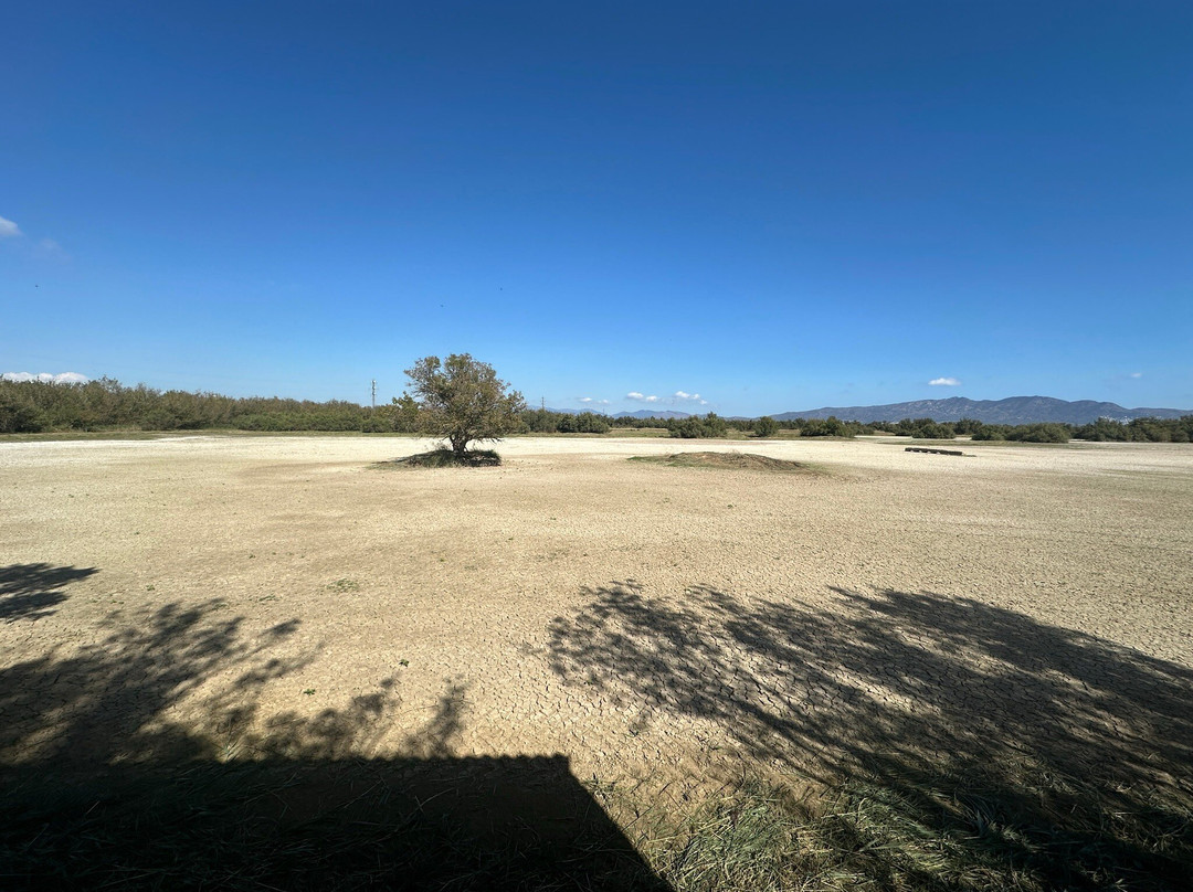 Natural Park of the Aiguamolls de l'Emporda景点图片