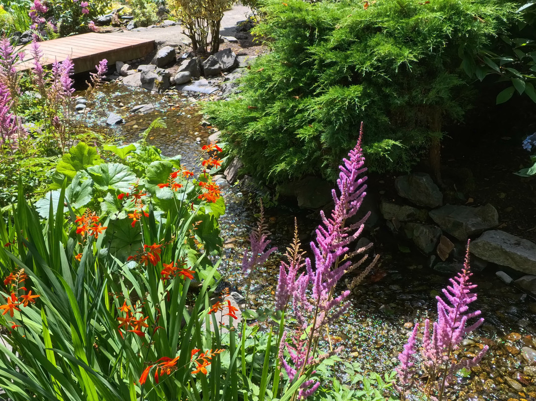 Highline SeaTac Botanical Gardens景点图片