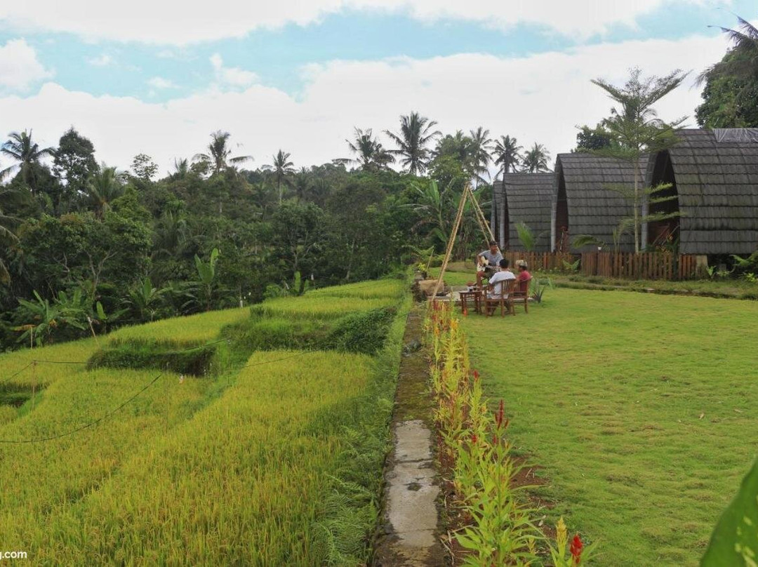 Omah Bapak Ijen Eco House主图