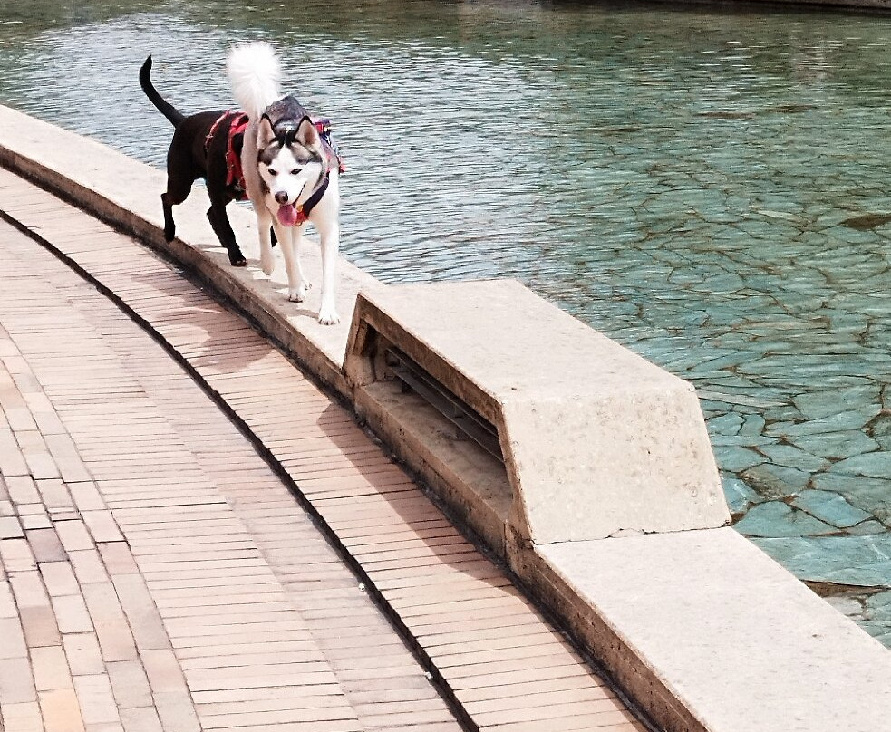 Biblioteca Virgilio-波哥大必去景点