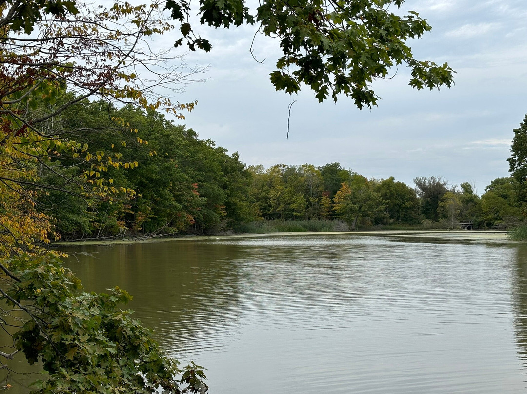 Wheatley Provincial Park景点图片