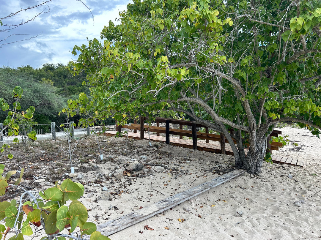Playa Jaboncillo-Guanica必去景点