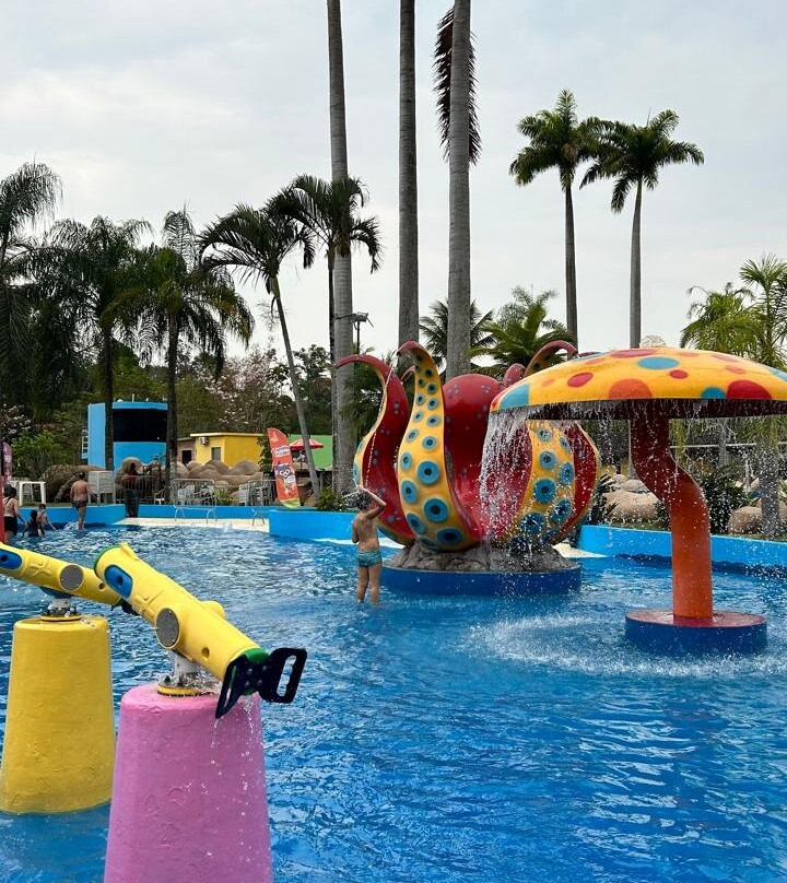 Aldeia Das Aguas Water Park景点图片