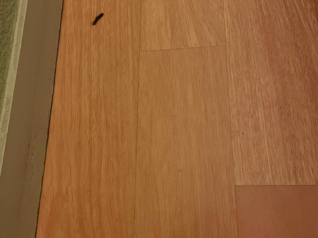 宜必思快捷里昂圣格尼斯拉瓦尔酒店主图