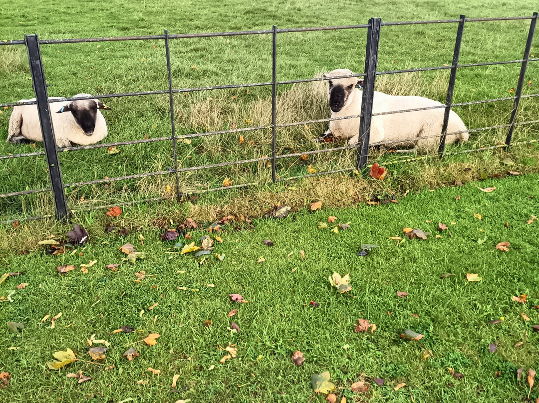 Banbury Hill Farm主图