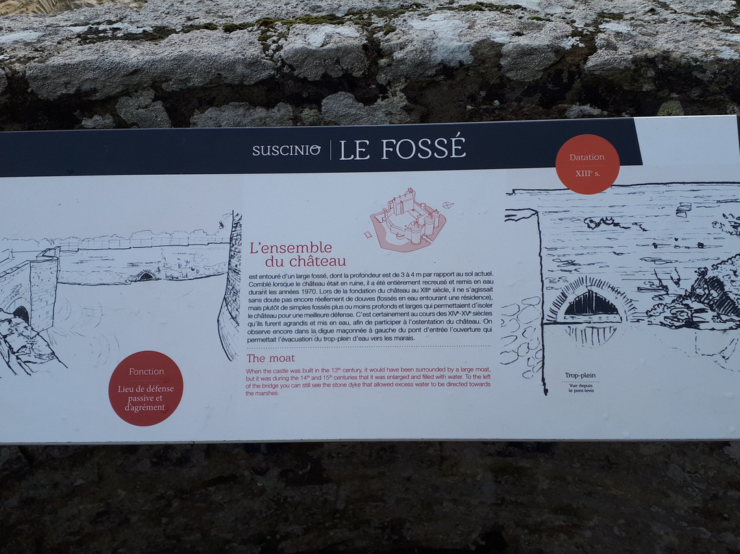 Domaine De Suscinio景点图片
