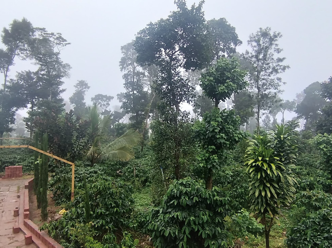 Heights Farm Stay | Coffee Estate Stay主图