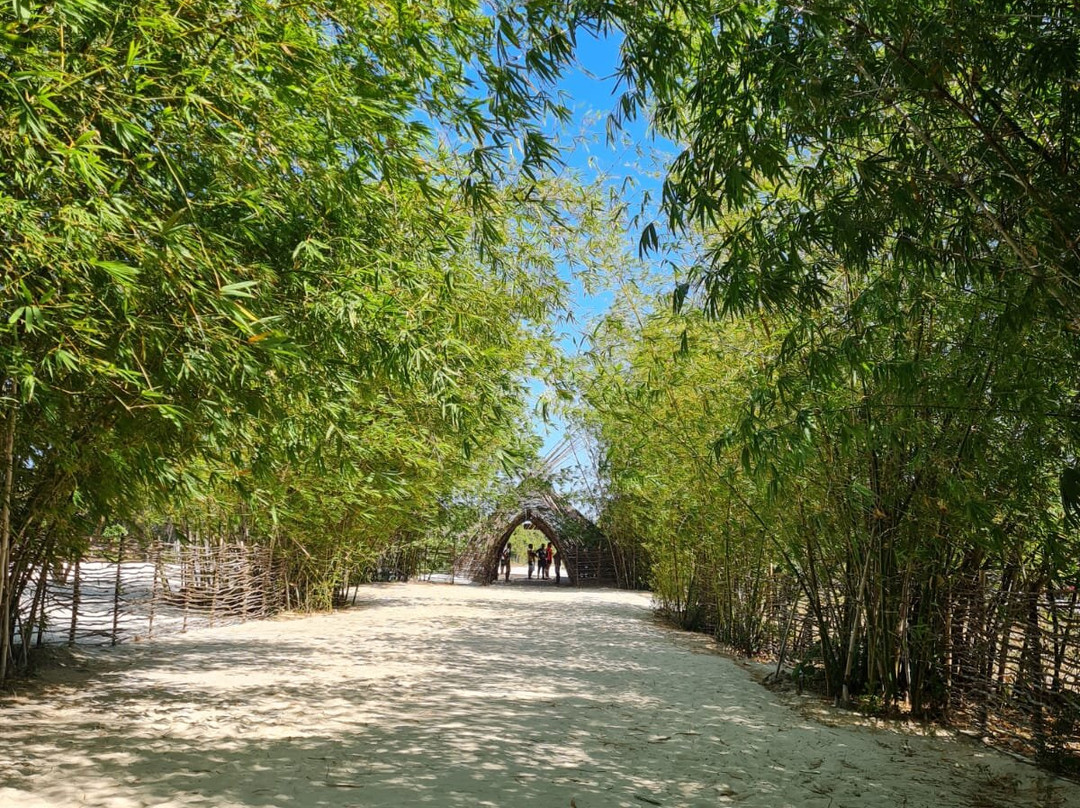 Lagoas de Tatajuba景点图片